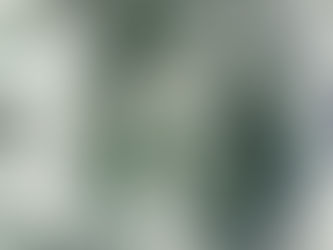 Emerging Markets Update - In-Focus: Kenya, South Africa and Africa-wide