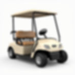 Pre-Owned Electric Cart