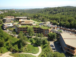 Community management à Sophia Antipolis : développez votre présence en ligne