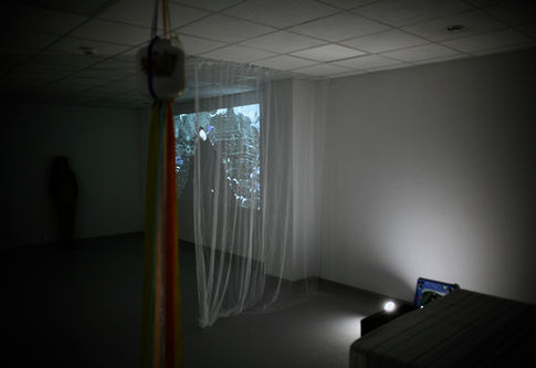IMG_3086.jpeg