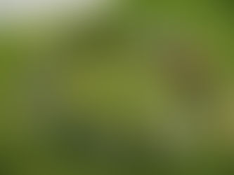 People gathered in a circle on grass, each holding orange strings forming an intricate web. They're engaged and focused, creating a sense of teamwork.