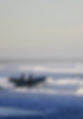 20100109-IMG_3646_edited.jpg