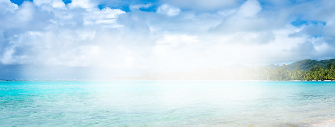 SSWAA AT SEA - BANNER (3).png