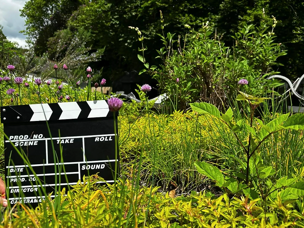 Screenshot 2024-07-23 141705.png