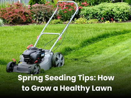 Spring Seeding Tips: How to Grow a Healthy Lawn
