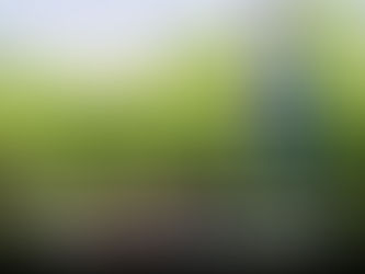 Spring Lawn Mowing Guide: Perfect Cutting Height Tips