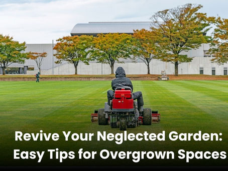 Revive Your Neglected Garden: Easy Tips for Overgrown Spaces