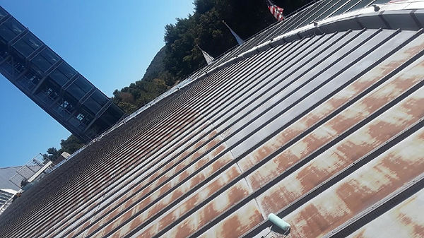 Museum Roof Before.jpeg