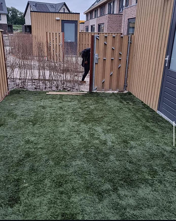 WhatsApp Image 2024-08-24 at 22.04.54 (5).jpeg