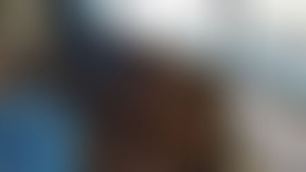 樹木の挿し木、保管場所