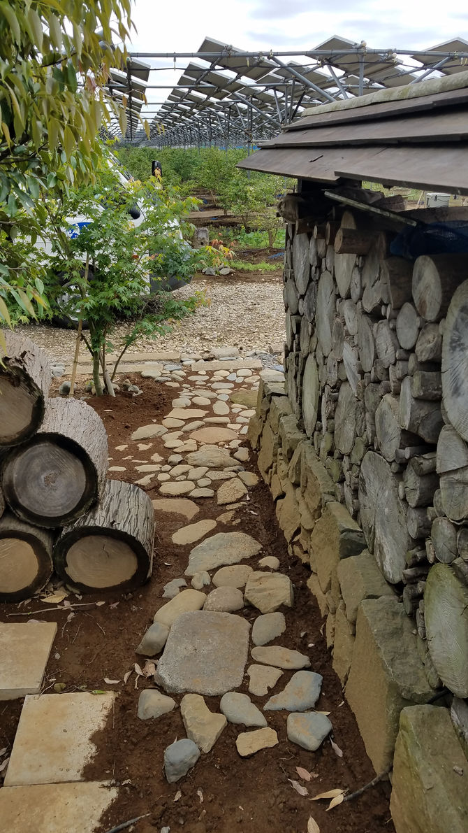 里山への入り口　八街ブルーベリーファーム春夫観光農園