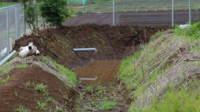 遊水池、雨水が溜まっていました