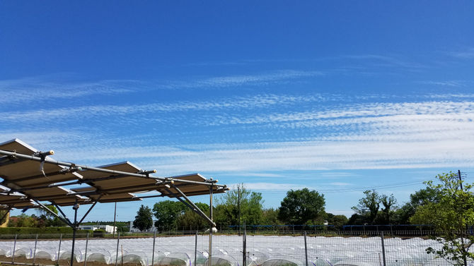 春夫観光農園の青い空