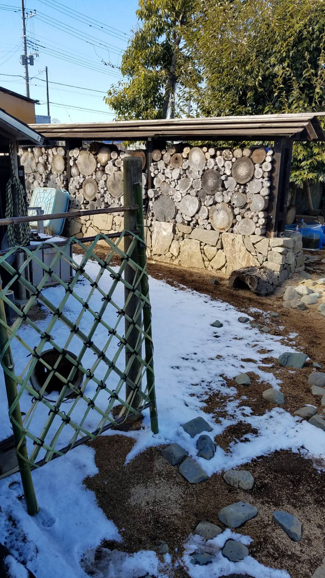 積雪、八街ブルーベリーファーム春夫観光農園