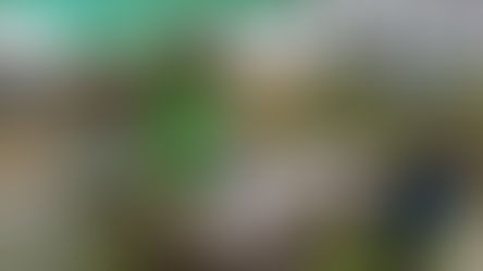 三上さんが訪問してくれました