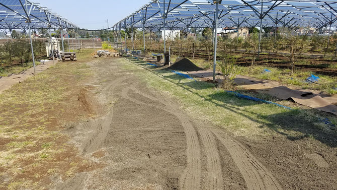 芝生に川砂