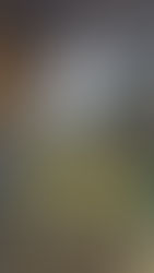 竹の保管