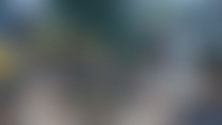 池に、石を設置