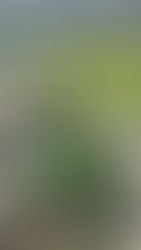 開園です