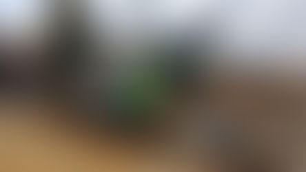 築山に土搬入