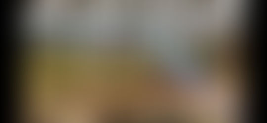 竹穂垣作り、第二弾　今回は、二間分　八街ブルーベリーファーム春夫観光農園