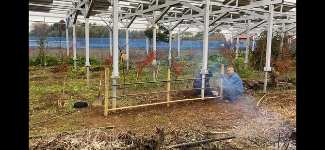 竹穂垣作り、第二弾　今回は、二間分　八街ブルーベリーファーム春夫観光農園