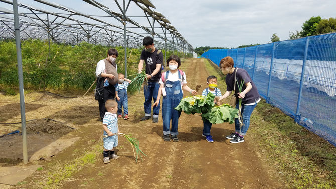 春夫観光農園、シーズン前の見学　八街、ブルーベリー　