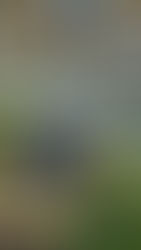 プールのあとの休憩　や
