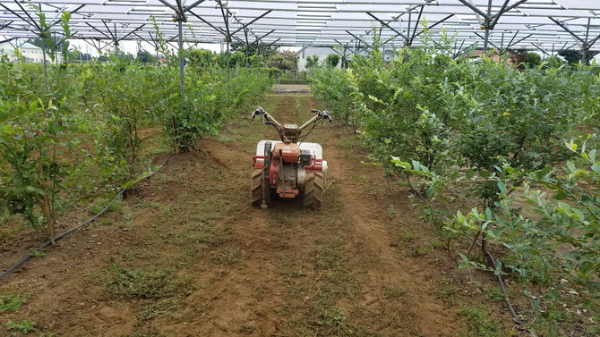 除草！農園を行くハンマーナイフ