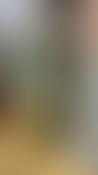 烏骨鶏たちの水やり装置です。八街ブルーベリーファーム春夫観光農園