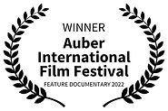 1 WINNER - Auber International Film Fest