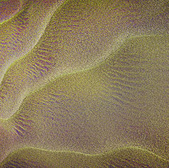 Fractals comprised of tiny branches on larger branches on larger branches...