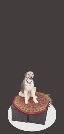 140611574462357.gif