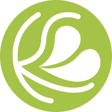 logo 1.png