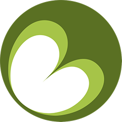 logo 6.png