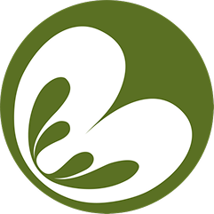 logo 2.png