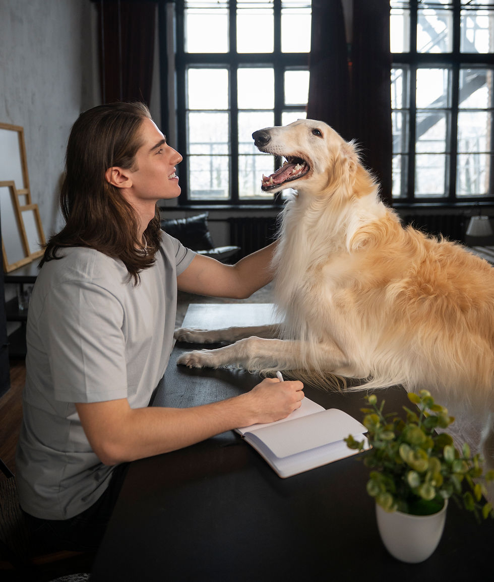 Hund im Büro