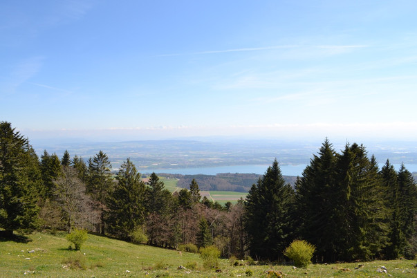 Mont Sujet