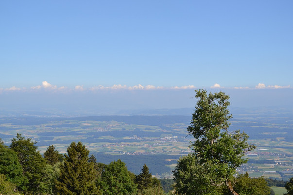 Mont Sujet