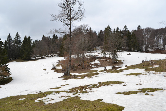 Mont Sujet