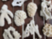 Corals Bali - 2.jpeg