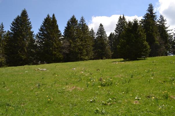 Mont Sujet