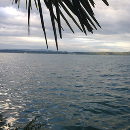 Ligerz - Lake of Biel