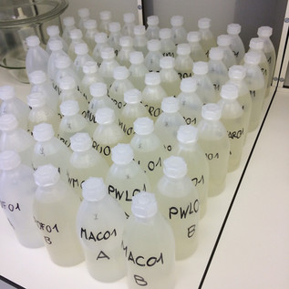 River Water samples
