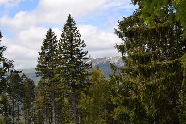 Mont Sujet