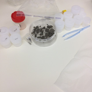 Chemical Lab - Meteorite samples