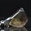 Thumbnail: Smoky Quartz Necklace - Trepca Mine Kosovo - polished - nice shape - 11.2 g