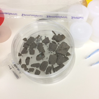 Meteorite samples