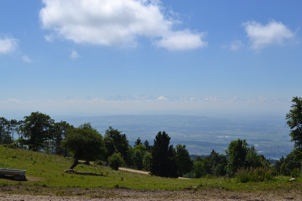 Mont Sujet