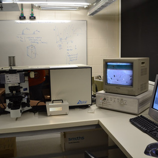 Raman Microprobe
